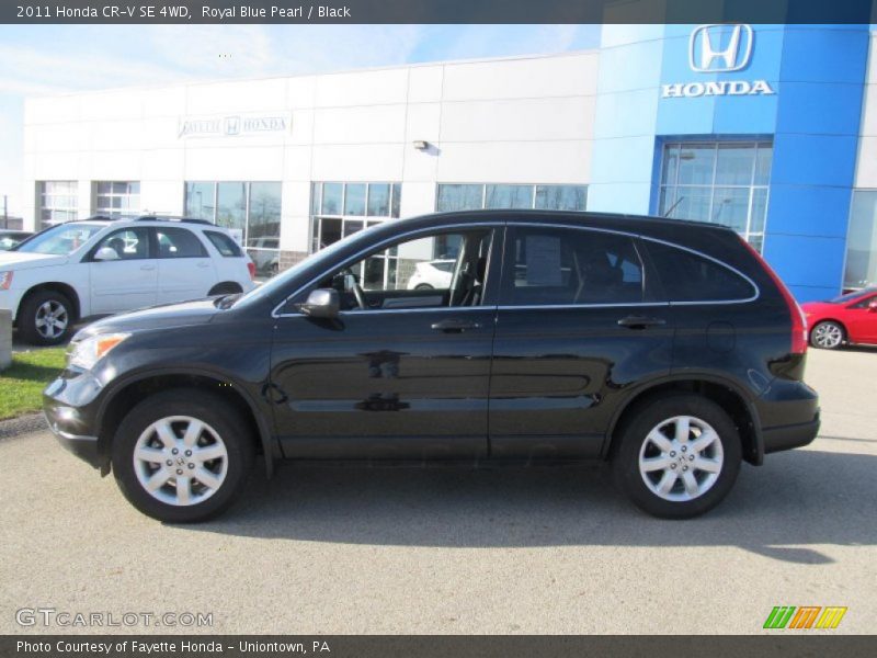 Royal Blue Pearl / Black 2011 Honda CR-V SE 4WD