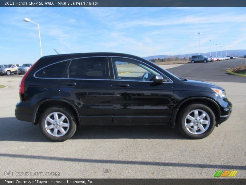 Royal Blue Pearl / Black 2011 Honda CR-V SE 4WD