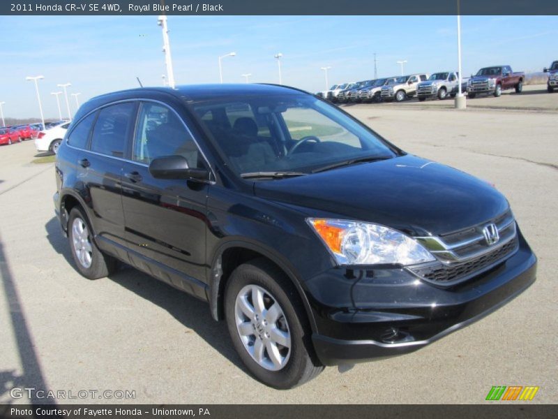 Royal Blue Pearl / Black 2011 Honda CR-V SE 4WD