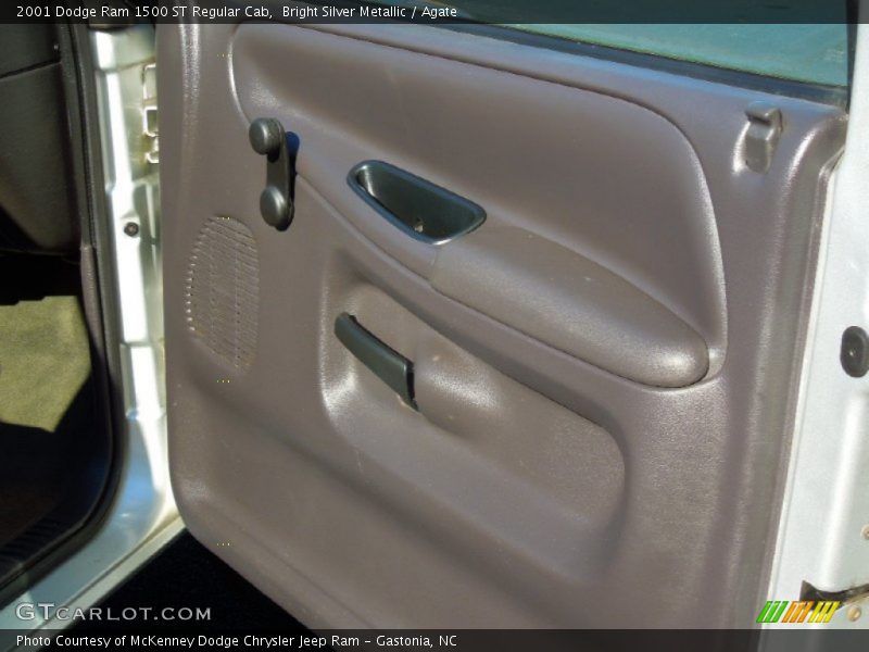 Bright Silver Metallic / Agate 2001 Dodge Ram 1500 ST Regular Cab