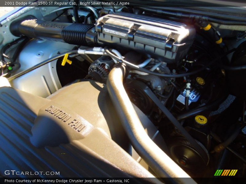 Bright Silver Metallic / Agate 2001 Dodge Ram 1500 ST Regular Cab