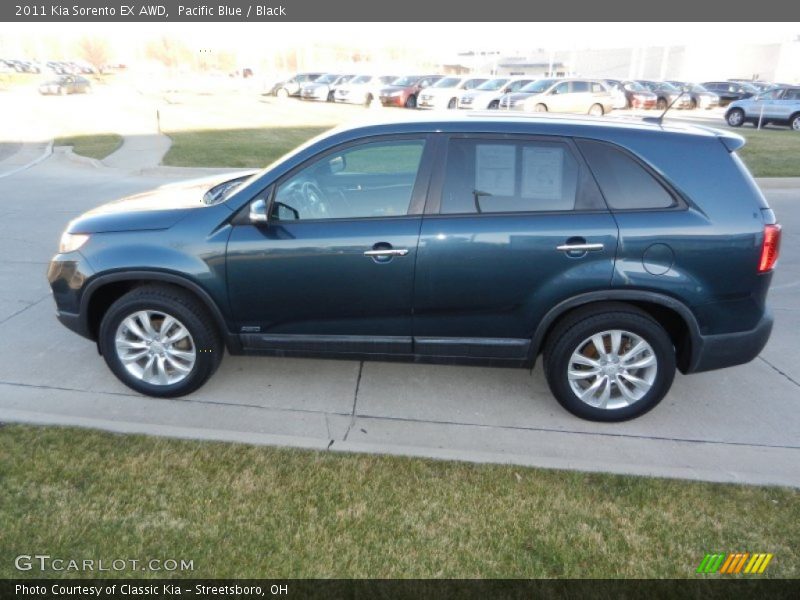 Pacific Blue / Black 2011 Kia Sorento EX AWD