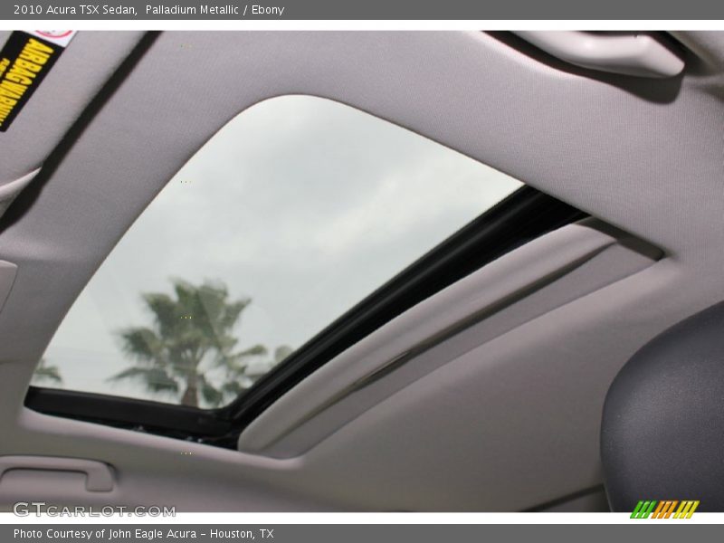 Palladium Metallic / Ebony 2010 Acura TSX Sedan