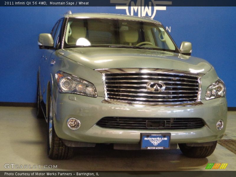 Mountain Sage / Wheat 2011 Infiniti QX 56 4WD