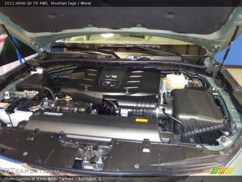 Mountain Sage / Wheat 2011 Infiniti QX 56 4WD