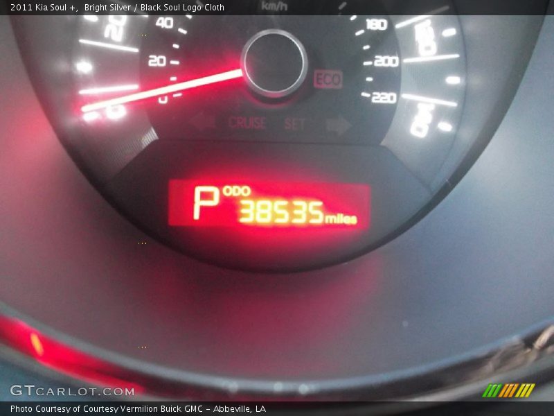 Bright Silver / Black Soul Logo Cloth 2011 Kia Soul +