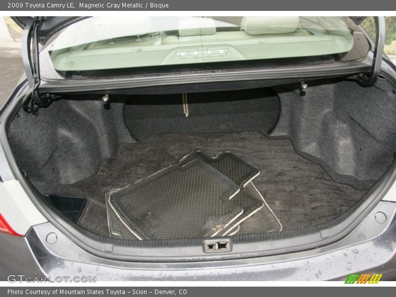 Magnetic Gray Metallic / Bisque 2009 Toyota Camry LE