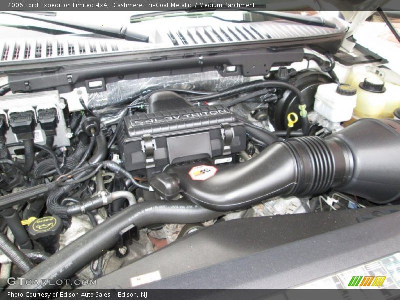 Cashmere Tri-Coat Metallic / Medium Parchment 2006 Ford Expedition Limited 4x4