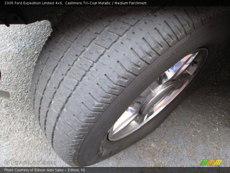 Cashmere Tri-Coat Metallic / Medium Parchment 2006 Ford Expedition Limited 4x4