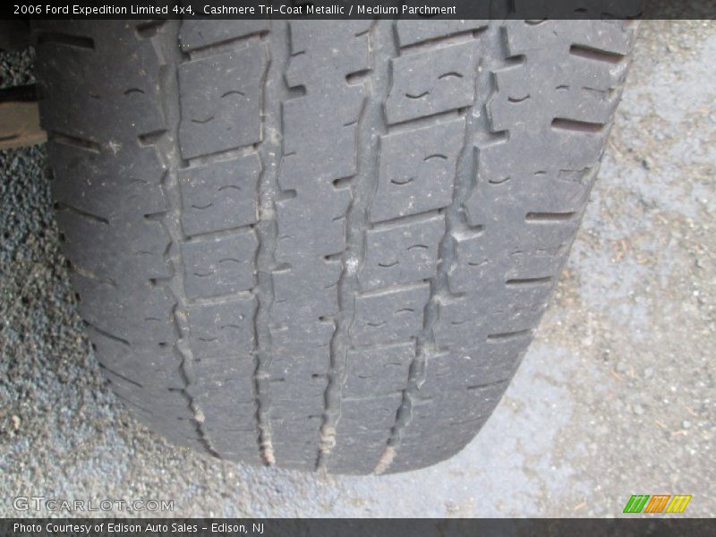 Cashmere Tri-Coat Metallic / Medium Parchment 2006 Ford Expedition Limited 4x4