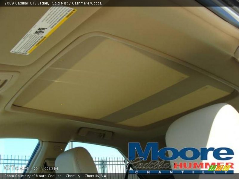 Gold Mist / Cashmere/Cocoa 2009 Cadillac CTS Sedan