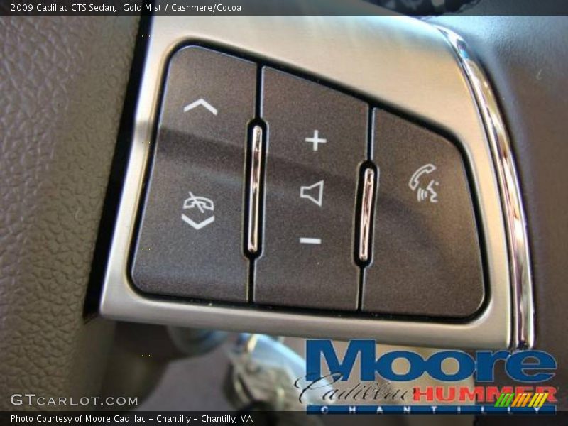 Gold Mist / Cashmere/Cocoa 2009 Cadillac CTS Sedan