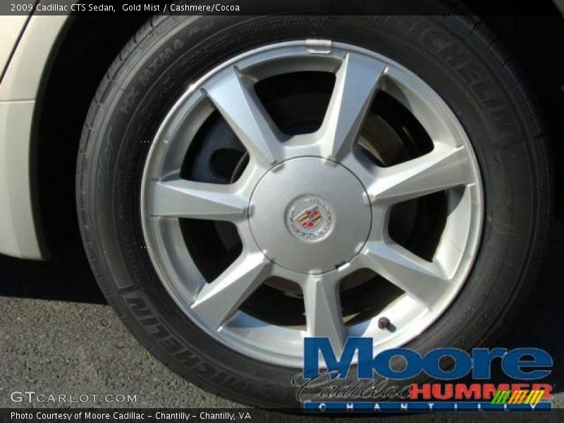Gold Mist / Cashmere/Cocoa 2009 Cadillac CTS Sedan