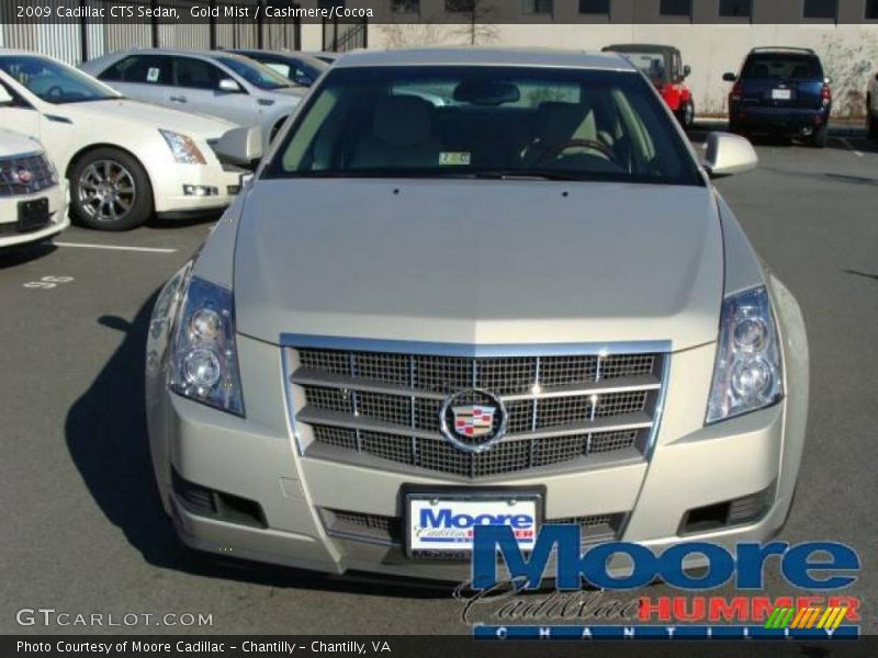 Gold Mist / Cashmere/Cocoa 2009 Cadillac CTS Sedan