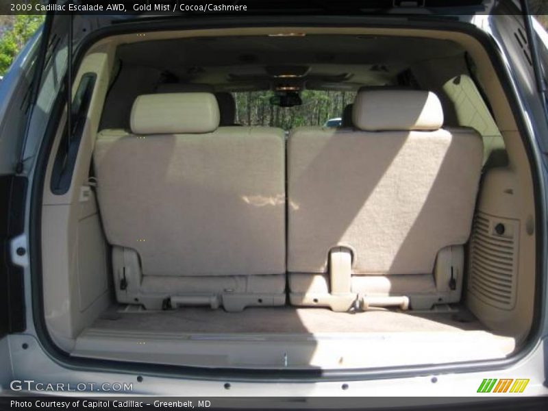Gold Mist / Cocoa/Cashmere 2009 Cadillac Escalade AWD