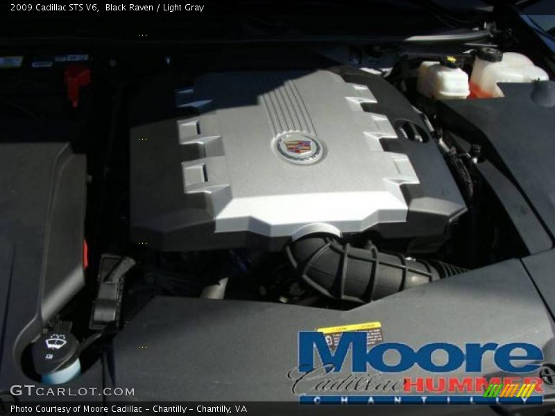 Black Raven / Light Gray 2009 Cadillac STS V6