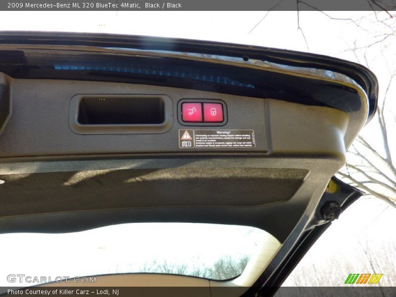 Black / Black 2009 Mercedes-Benz ML 320 BlueTec 4Matic