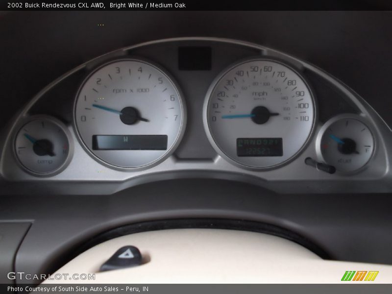 Bright White / Medium Oak 2002 Buick Rendezvous CXL AWD