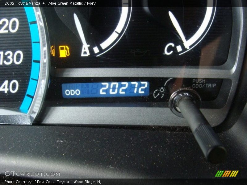 Aloe Green Metallic / Ivory 2009 Toyota Venza I4