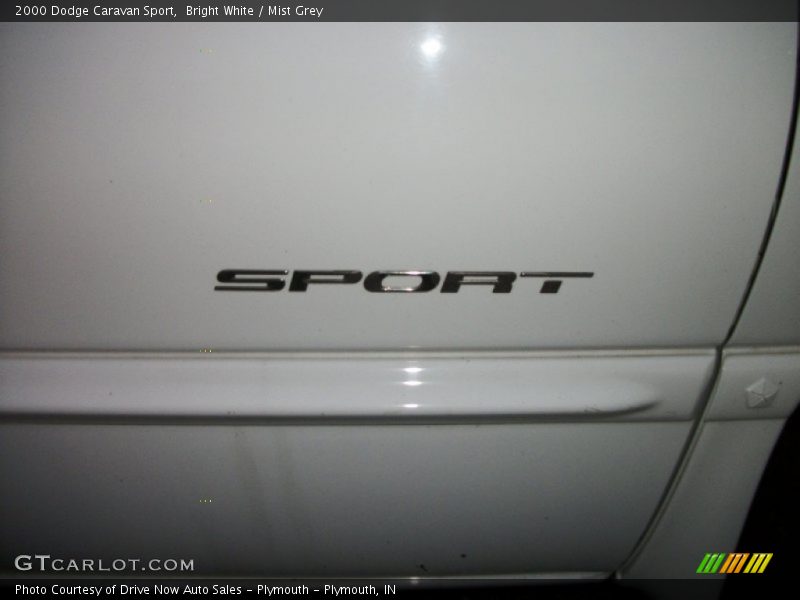 Bright White / Mist Grey 2000 Dodge Caravan Sport