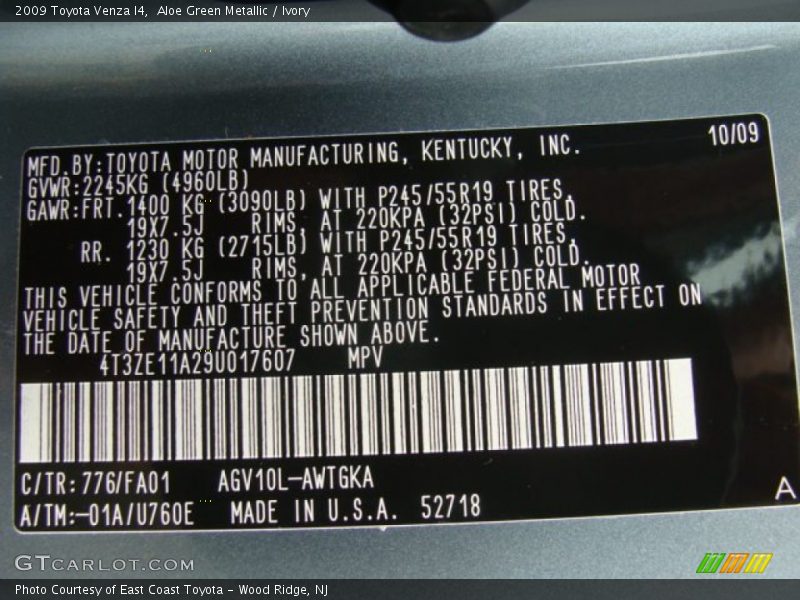 Aloe Green Metallic / Ivory 2009 Toyota Venza I4