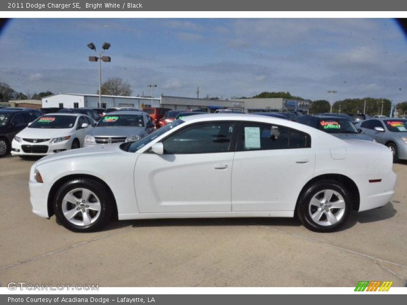 Bright White / Black 2011 Dodge Charger SE