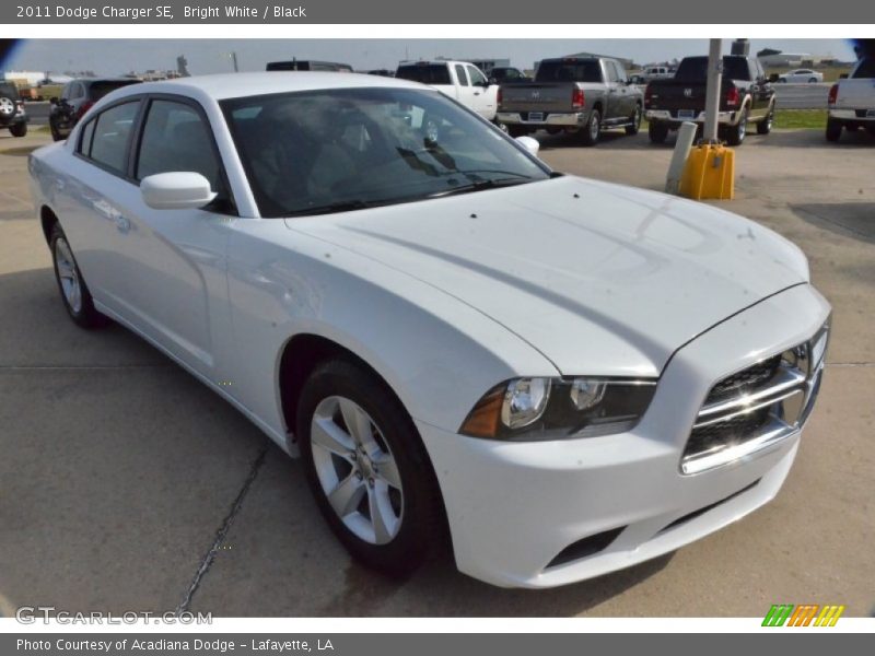 Bright White / Black 2011 Dodge Charger SE