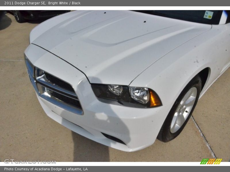 Bright White / Black 2011 Dodge Charger SE