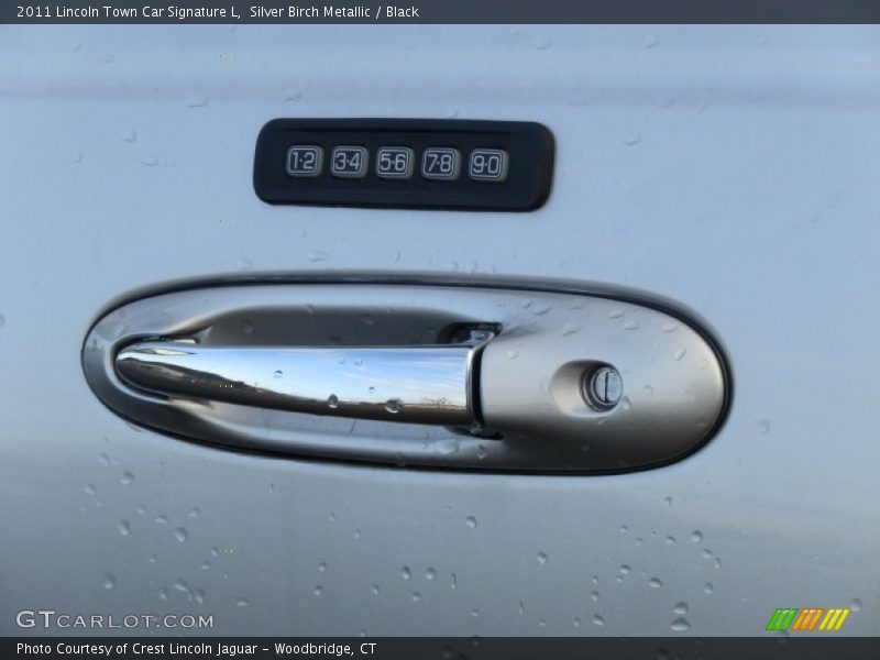 Silver Birch Metallic / Black 2011 Lincoln Town Car Signature L