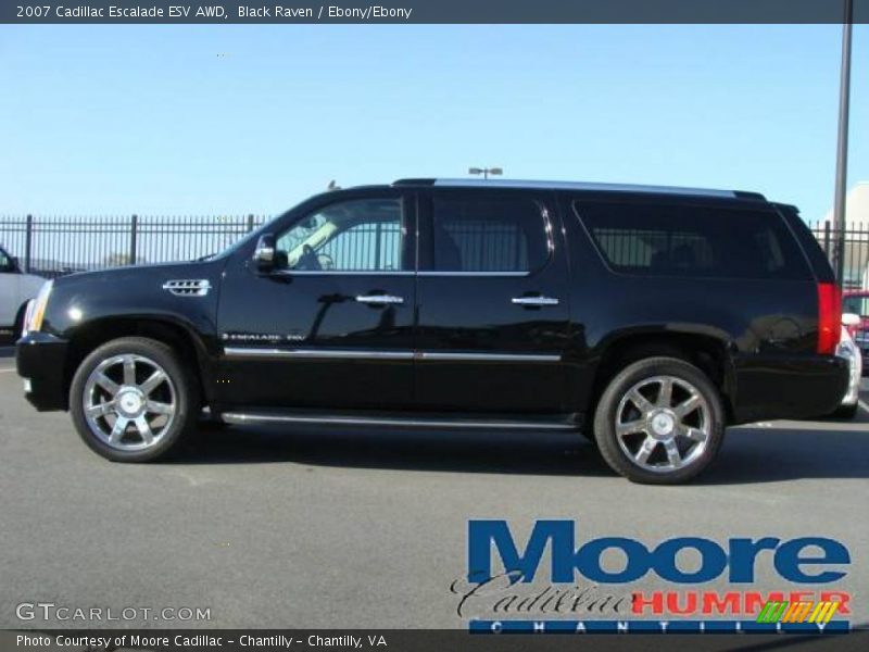Black Raven / Ebony/Ebony 2007 Cadillac Escalade ESV AWD
