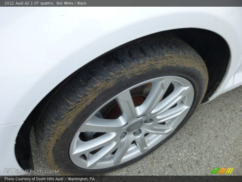 Ibis White / Black 2012 Audi A3 2.0T quattro