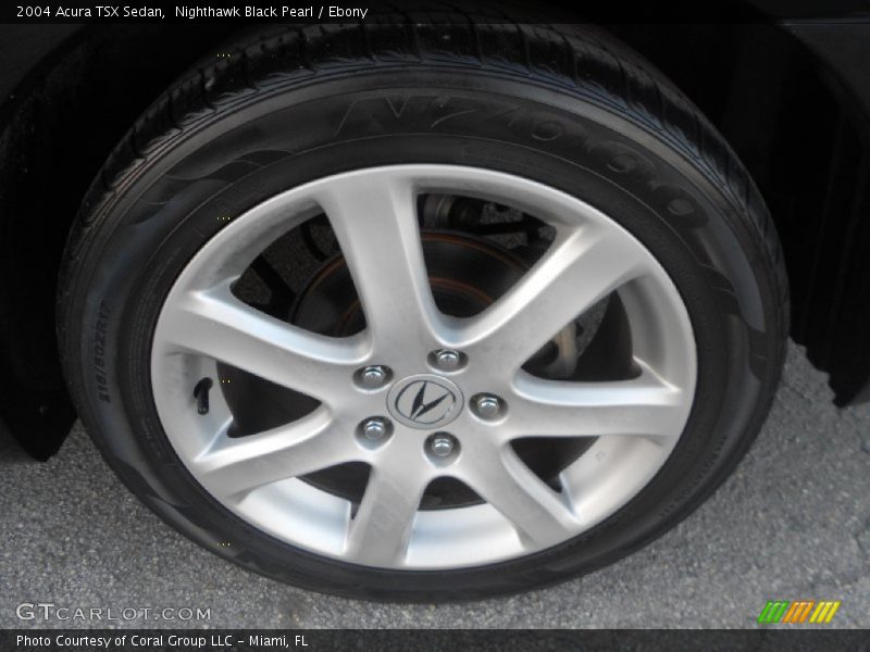 Nighthawk Black Pearl / Ebony 2004 Acura TSX Sedan