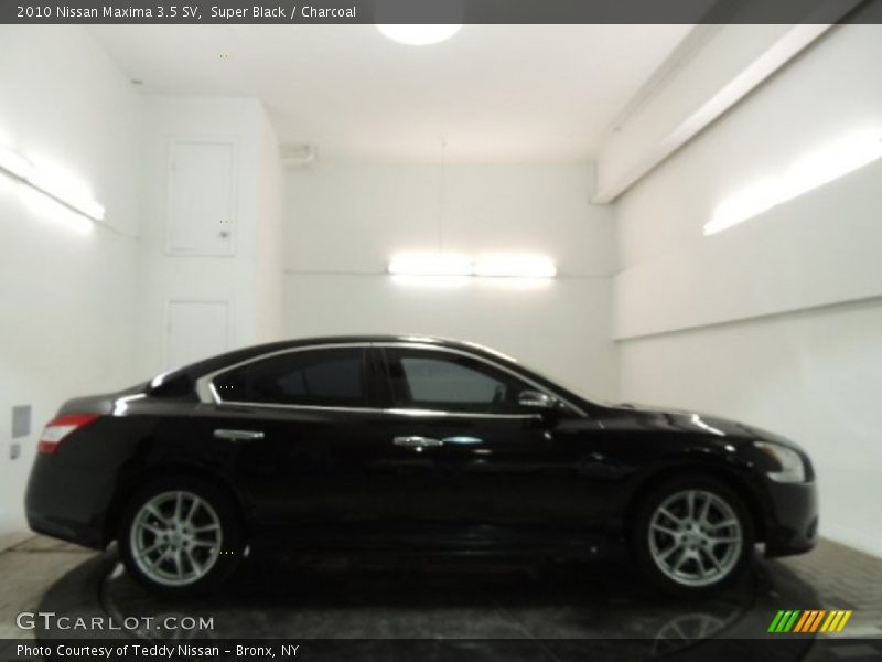 Super Black / Charcoal 2010 Nissan Maxima 3.5 SV