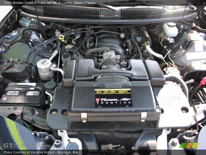 Black / Taupe 2000 Pontiac Firebird Trans Am WS-6 Coupe