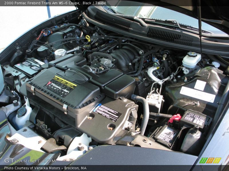 Black / Taupe 2000 Pontiac Firebird Trans Am WS-6 Coupe