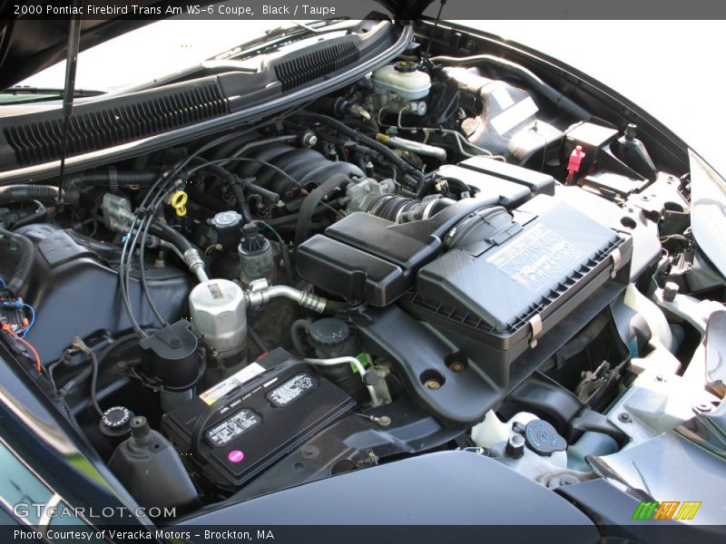 Black / Taupe 2000 Pontiac Firebird Trans Am WS-6 Coupe
