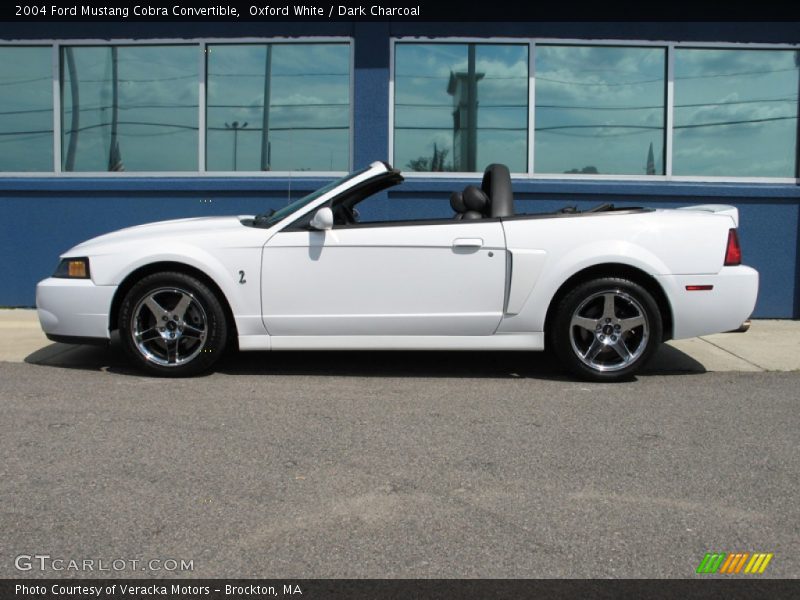  2004 Mustang Cobra Convertible Oxford White