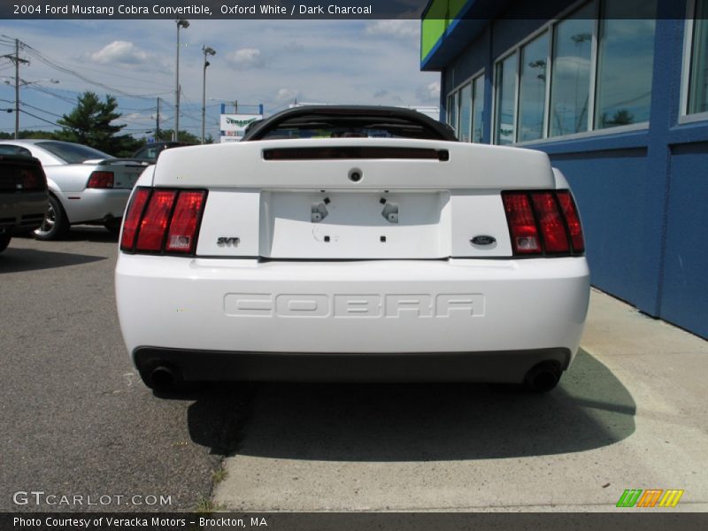 Oxford White / Dark Charcoal 2004 Ford Mustang Cobra Convertible