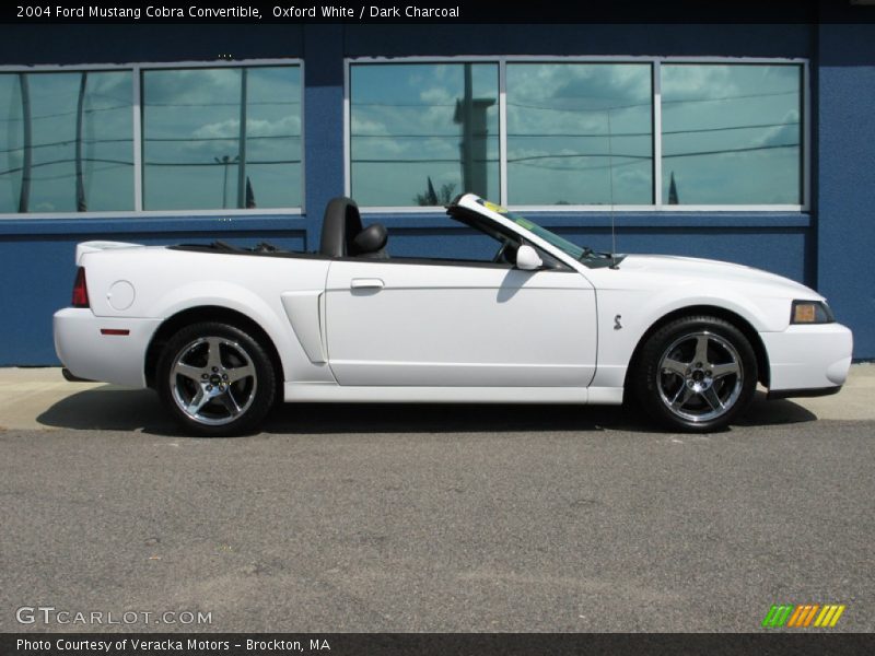  2004 Mustang Cobra Convertible Oxford White