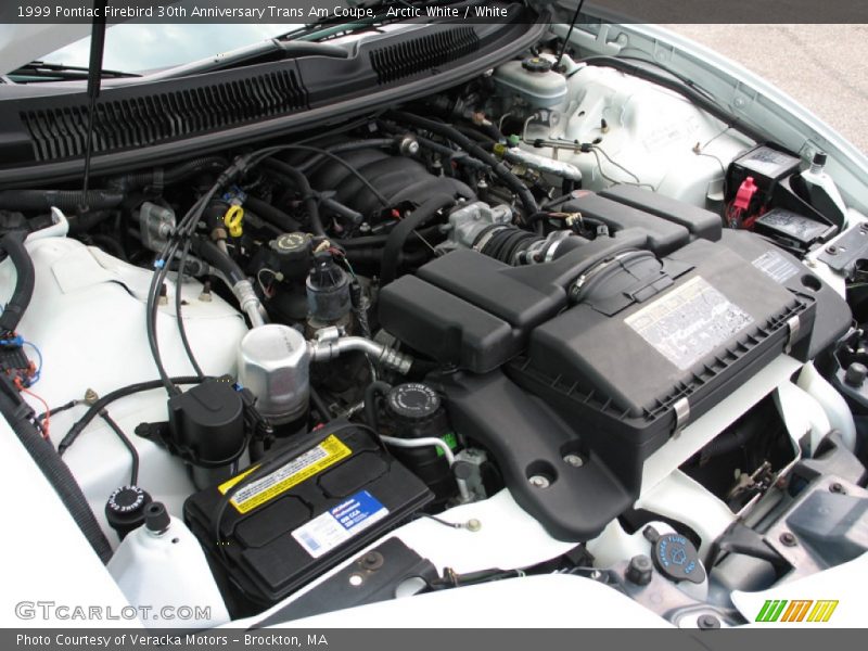 Arctic White / White 1999 Pontiac Firebird 30th Anniversary Trans Am Coupe