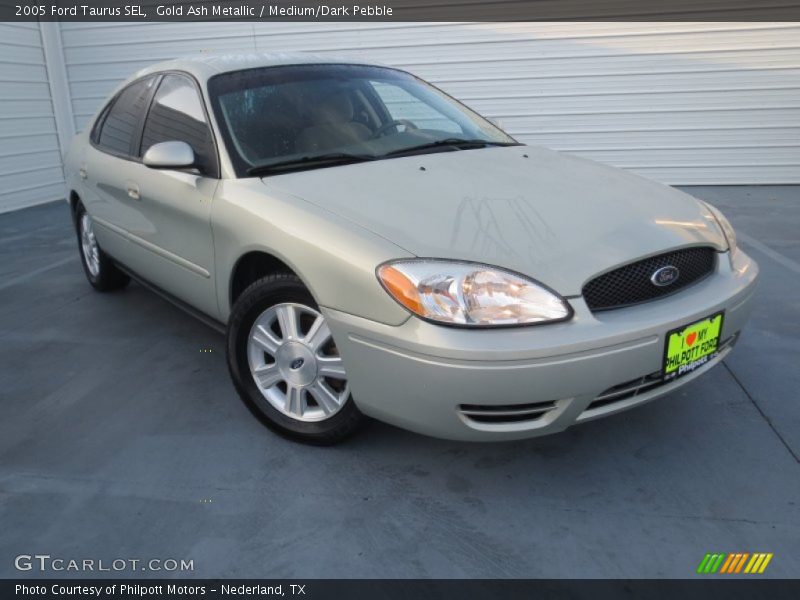 Gold Ash Metallic / Medium/Dark Pebble 2005 Ford Taurus SEL