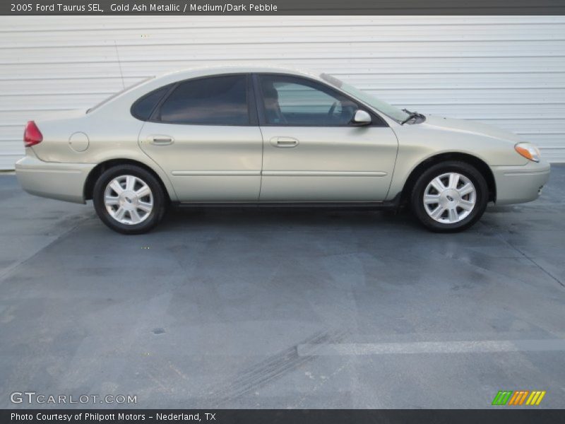 Gold Ash Metallic / Medium/Dark Pebble 2005 Ford Taurus SEL