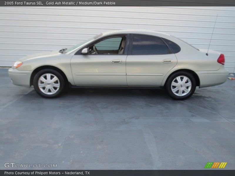 Gold Ash Metallic / Medium/Dark Pebble 2005 Ford Taurus SEL
