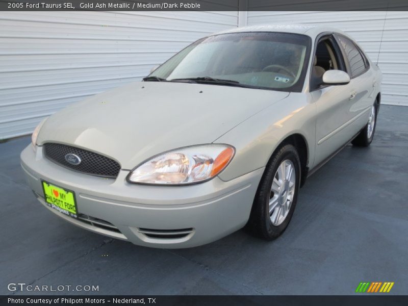 Gold Ash Metallic / Medium/Dark Pebble 2005 Ford Taurus SEL