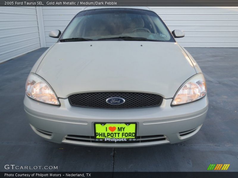 Gold Ash Metallic / Medium/Dark Pebble 2005 Ford Taurus SEL