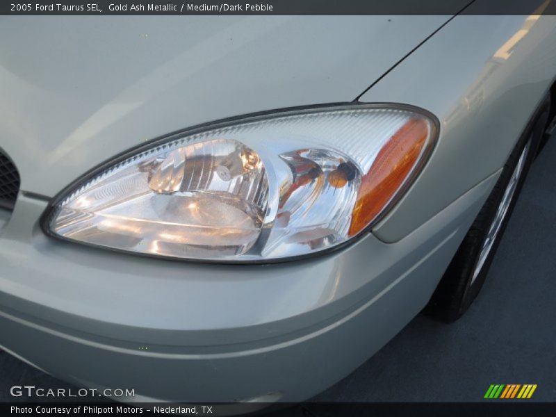 Gold Ash Metallic / Medium/Dark Pebble 2005 Ford Taurus SEL