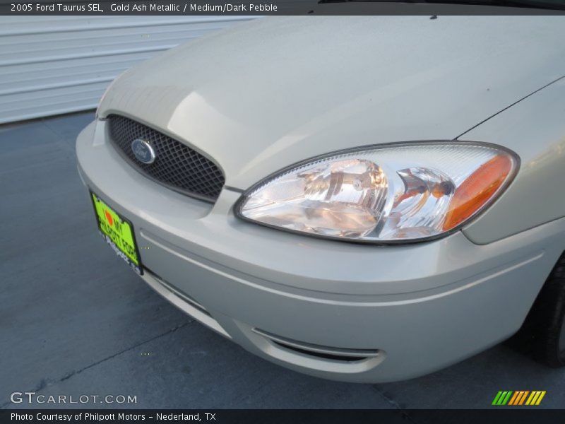 Gold Ash Metallic / Medium/Dark Pebble 2005 Ford Taurus SEL