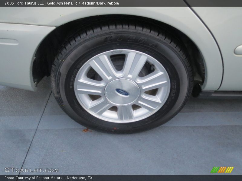 Gold Ash Metallic / Medium/Dark Pebble 2005 Ford Taurus SEL