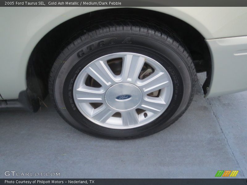 Gold Ash Metallic / Medium/Dark Pebble 2005 Ford Taurus SEL