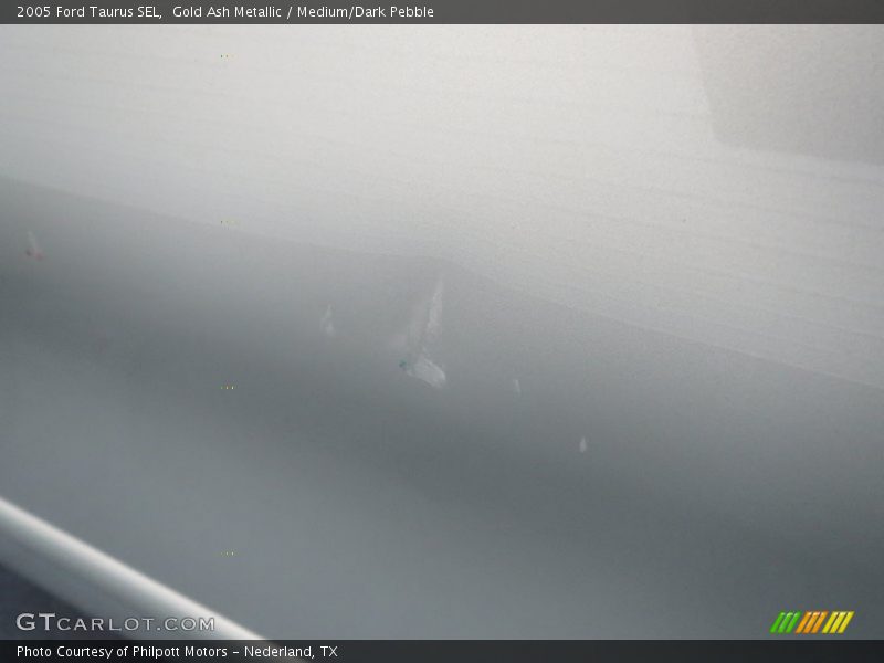 Gold Ash Metallic / Medium/Dark Pebble 2005 Ford Taurus SEL